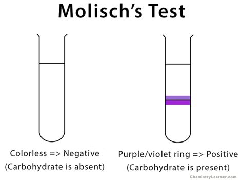 Molisch's Test: Definition, Reaction, Reagent, and .